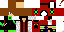 Texture for TOMAS2114