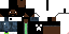 Texture for Nester