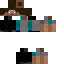 Texture for HomGer100