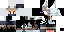 Texture for ff