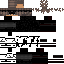 Texture for fs