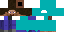Texture for Steve Forever (frogs5)