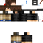 Texture for Dodger