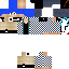 Texture for seta1