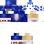 Texture for Sonk2000