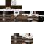 Texture for SkyHunnter