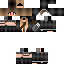 Texture for 788