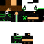Texture for luis377
