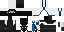Texture for Assassin