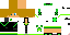 Texture for carlos