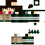 Texture for david mi