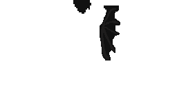 Texture for BatMan Elytra