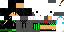 Texture for wik261