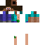 Texture for steve