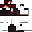 Texture for gt for mine imator fix