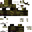 Texture for SPIRGTRAP