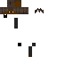Texture for c