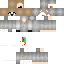 Texture for DERPI