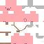 Texture for right pig