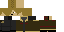 Texture for leon