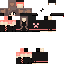 Texture for MINECRAFT