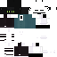 Texture for Validation cat