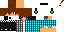 Texture for Pegasus