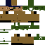 Texture for agent13