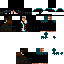 Texture for pl2