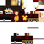 Texture for Flassh1010