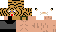 Texture for KiraGamerTV