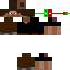 Texture for Hudy