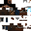 Texture for Warden