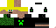 Texture for Newest skin