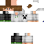 Texture for Ananas