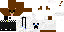 Texture for bear