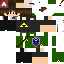 Texture for New Link