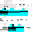 Texture for Steve