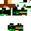 Texture for steve
