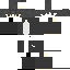 Texture for ds