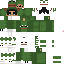 Texture for mestermc frog