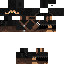 Texture for ninja