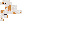 Texture for Hamster