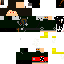 Texture for ryu512