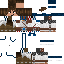 Texture for FLOX/CASTLE