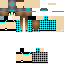 Texture for nicol12