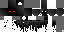 Texture for Wraith