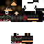 Texture for max2547