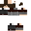 Texture for ds