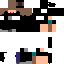 Texture for SnowChow